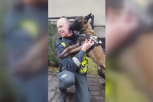 Tarnyba suartino – nuoširdesnių kolegų santykių net negalėtų būti