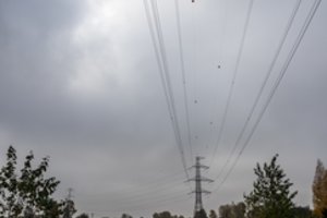 Ūkininkų vargai: aplink kiekvieną elektros stulpą apsuka ir po 17 ratų