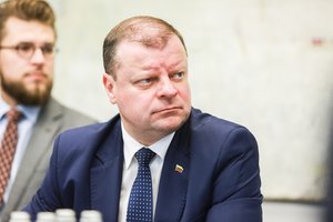 Politologai įvertino S. Skvernelį – tai krizę darantis premjeras