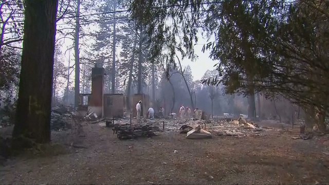Dingusiųjų per Kalifornijos gaisrus jau daugiau kaip 1000