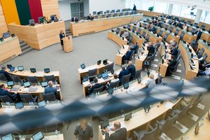 Seimas svarsto atsisakyti baudų gydymo įstaigoms už eiles