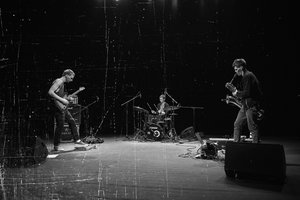 Kas sieja „Sheep Got Waxed“ ir Antano Sutkaus fotografijas?