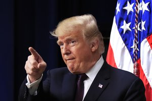 Donaldo Trumpo komentarai apie miškų grėbimą sukėlė suomių internautų pašaipų bangą