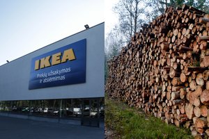 „Ikea“ apsipirko – tapo didžiausia privačių miško valdų operatore Lietuvoje