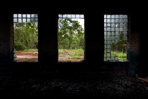 Dėl situacijos žemės ūkyje tyrimo Seimas spręs ketvirtadienį