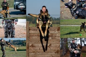 Pasieniečiai apie savo keturkojus kolegas: kartais jie net per gudrūs 