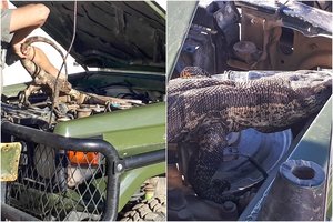 Visureigio variklio dangtį pakėlusi moteris nepatikėjo savo akimis