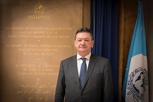 Lietuva ir kitos Interpolo šalys blokuos Rusijos atstovo išrinkimą