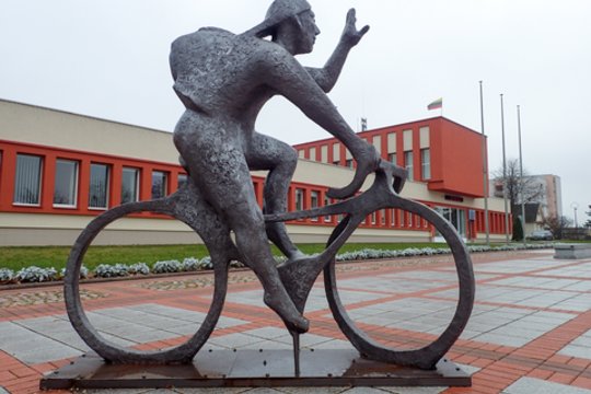 Skaidrių ežerų krašte – drumsti viešieji pirkimai