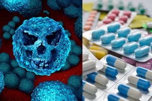 Specialistai sunerimę: tai nužudo 33 tūkst. europiečių kasmet