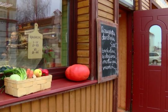 Po darbo žirgų fermoje emigracijoje – nuosavas verslas gimtinėje