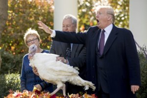 JAV minint Padėkos dieną supykęs Donaldas Trumpas užsipuolė teisėjus