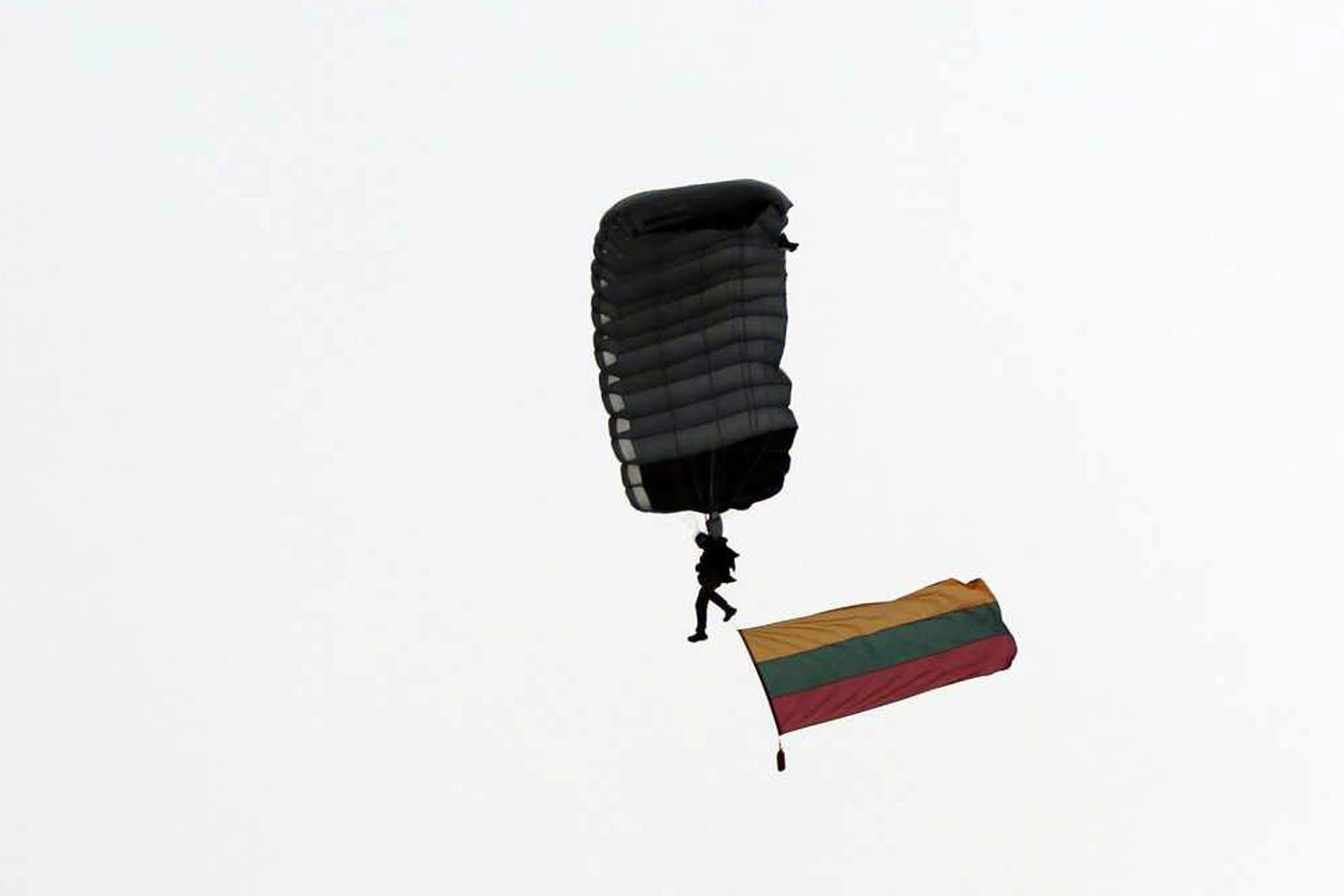 Parašiutininkas meistriškai nusileido prie Vyčio paminklo.<br> M.Patašiaus nuotr.