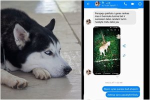 Moteris atidavė šunį nepažįstamajai, bet tokio siaubingo poelgio nė nenumatė