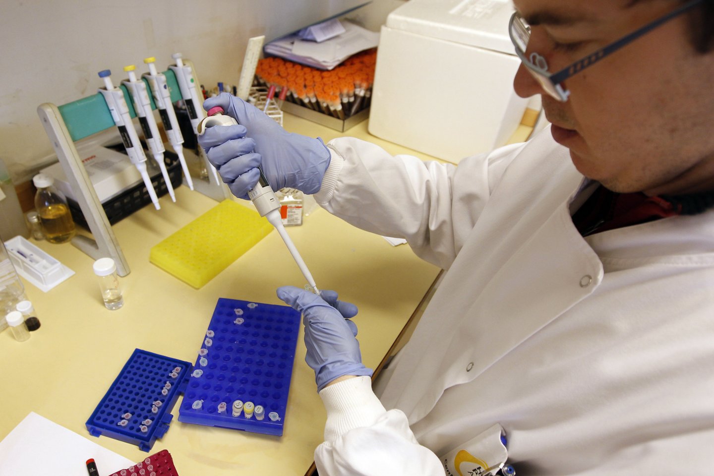 Įvairios laboratorijos pasaulyje prašo žmonių pagalbos tyrimuose. Iš viso pasaulio atsiųstuose mėginiuose randama įdomių ir dar neištirtų bakterijų.<br>„Reuters“/„Scanpix“ nuotr.