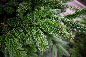 Kalėdines Raudondvario dvaro puošmenas kuria ir vaikai