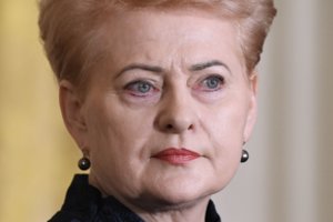 Griežta Dalios Grybauskaitės pozicija dėl Rusijos veiksmų Ukrainoje