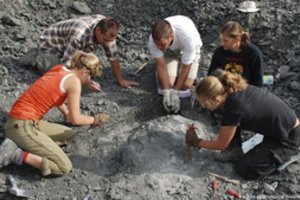 Mokslininkai: dinozaurų laikais Lietuvos kaimynystėje rėpliojo nepaprasta būtybė