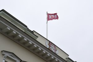 Prezidentės patarėjas: kuponų sistema primena sovietmetį