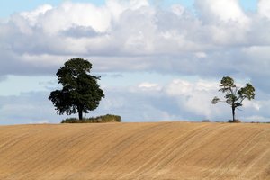 Kauno rajono ūkininkams įteikti „Metų ūkio“ apdovanojimai