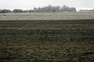 Gera žinia žemdirbiams: šį rudenį dirvose mineralinio azoto yra daugiau nei įprasta