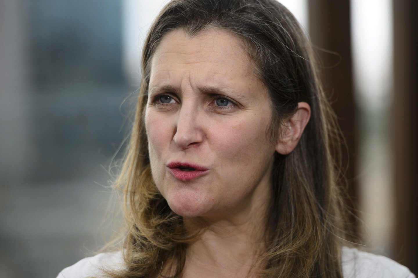 Ch.Freeland paskelbė, kad Kanada įves sankcijas 17 Saudo Arabijos piliečių.