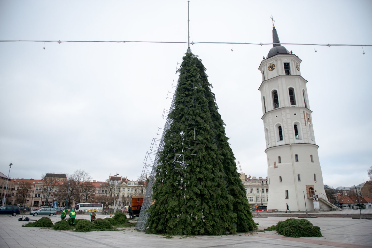 Eglė prie Katedros Vilniuje bus įžiebta šeštadienio vakarą.