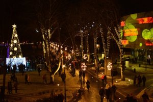 Palanga įžiebė eglę ir suspindo tūkstančiais kalėdinių šviesų
