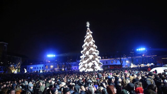 Pasigrožėkite: Kauno rotušėje įžiebta aukščiausia istorijoje Kalėdų eglutė