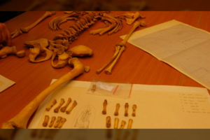 Lietuvos kaimynystėje – baugus ir mįslingas radinys