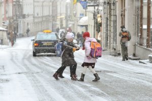 Skatindama gimstamumą vaikus auginančioms šeimoms valdžia žada nesvajotas dovanas