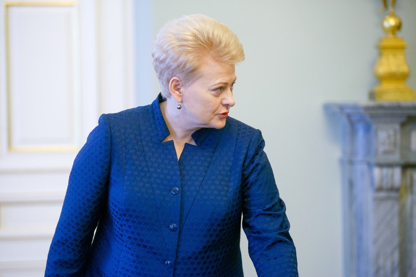 Prezidentė Dalia Grybauskaitė. <br>J.Stacevičiaus nuotr.