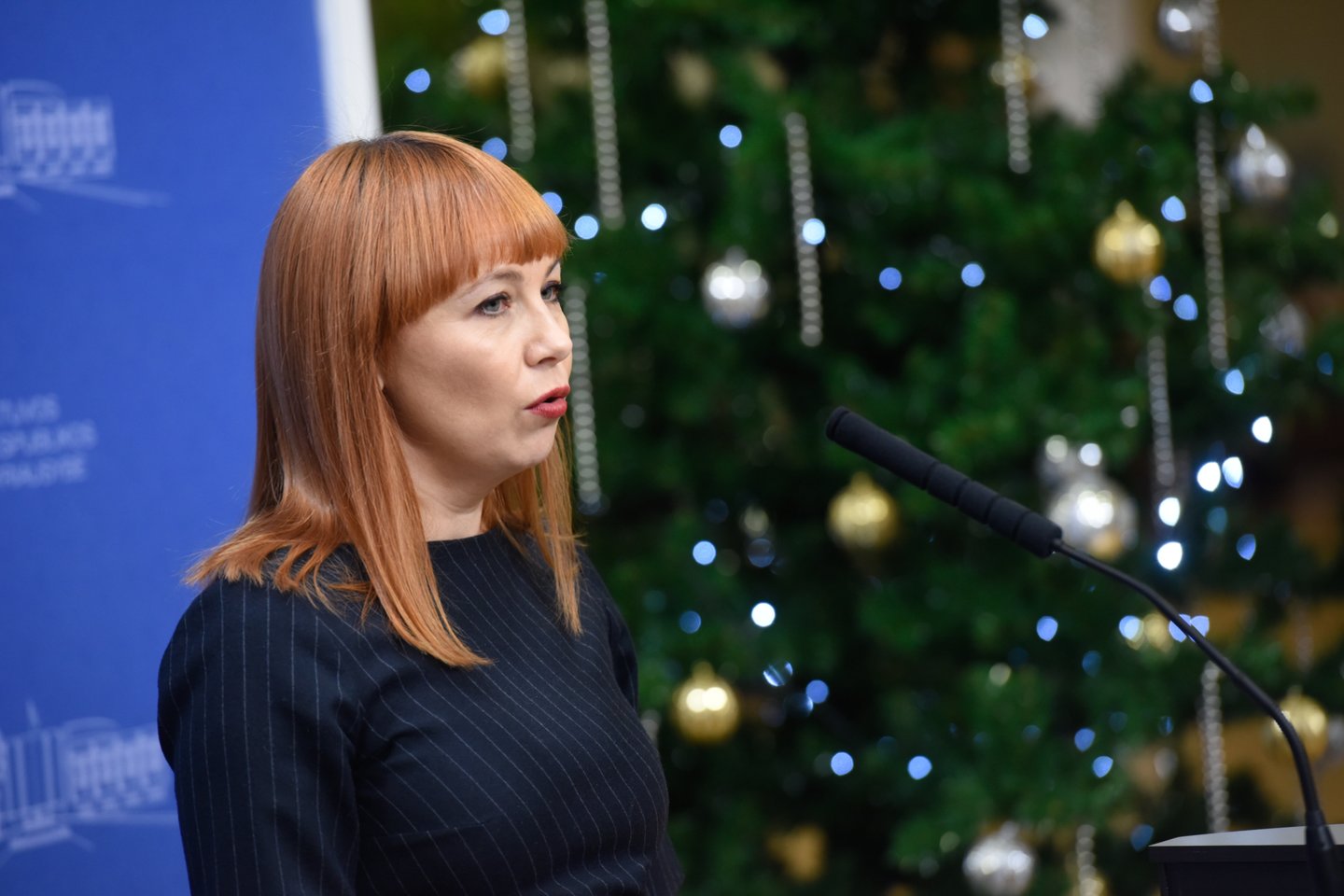 Švietimo ir mokslo ministrė Jurgita Petrauskienė didelio kiekio kritikos susilaukė paskutinėmis savaitėmis. <br>D.Umbraso nuotr.