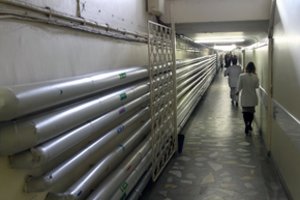 Valdantieji žada įstatymą dėl viešojo sektoriaus darbuotojų algų augimo