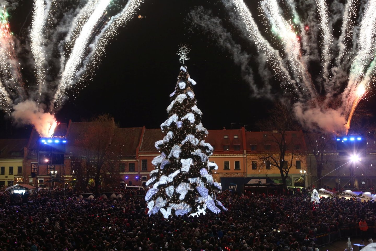 Kauno eglė.<br> LR archyvo nuotr.