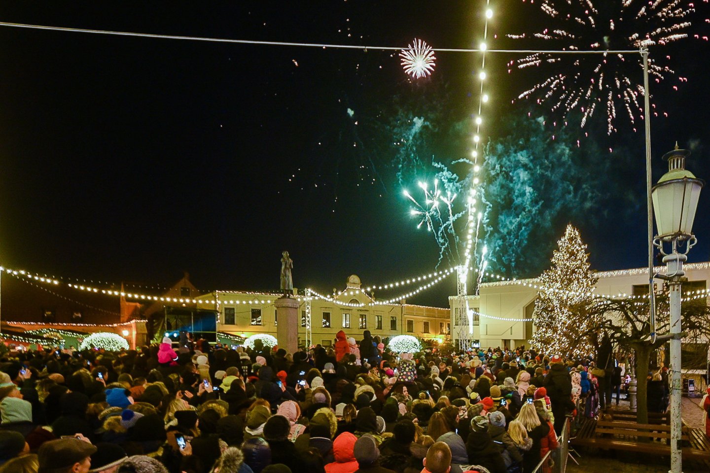 Klaipėdos eglė.<br> A. Kubaičio nuotr.