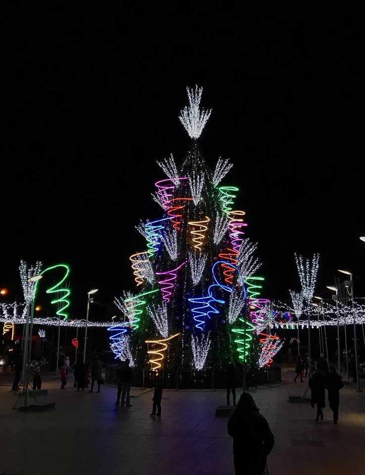 Panevėžio eglė.<br> G. Paškevičiūtės nuotr.