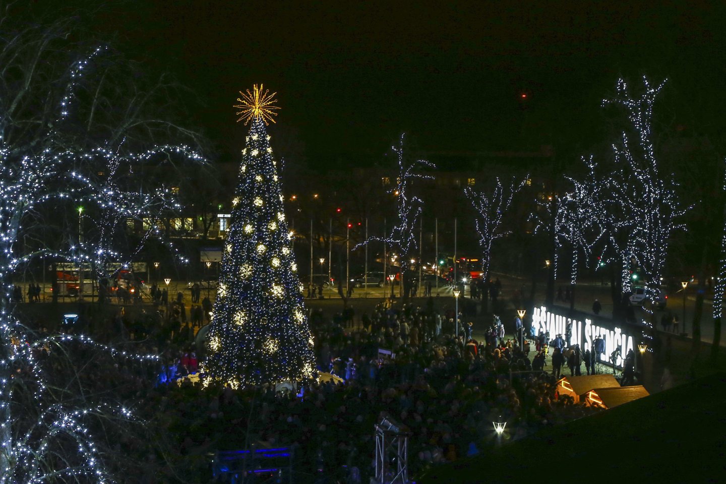 Šiaulių eglė.<br> G.Šiupario nuotr.