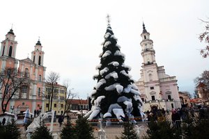 Išvydus Kauno eglę net susigraudino: „Tokio liūdno vaizdo dar nemačiau“