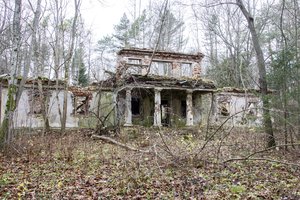 Nuo grafų Tyzenhauzų valdų atidalytas Rokiškėlių palivarkas – nyksta