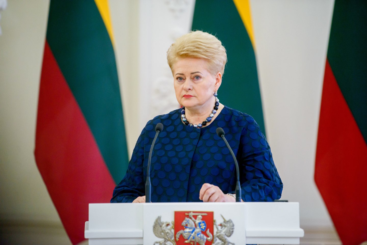 „Manau, kad premjeras mėgina taip savo problemas nustumti ant kitų galvų“, – pridūrė D.Grybauskaitė.<br>J.Stacevičiaus nuotr.