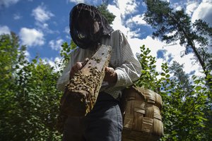 Lietuvoje padaugėjo norinčių užsiimti ekologine bitininkyste