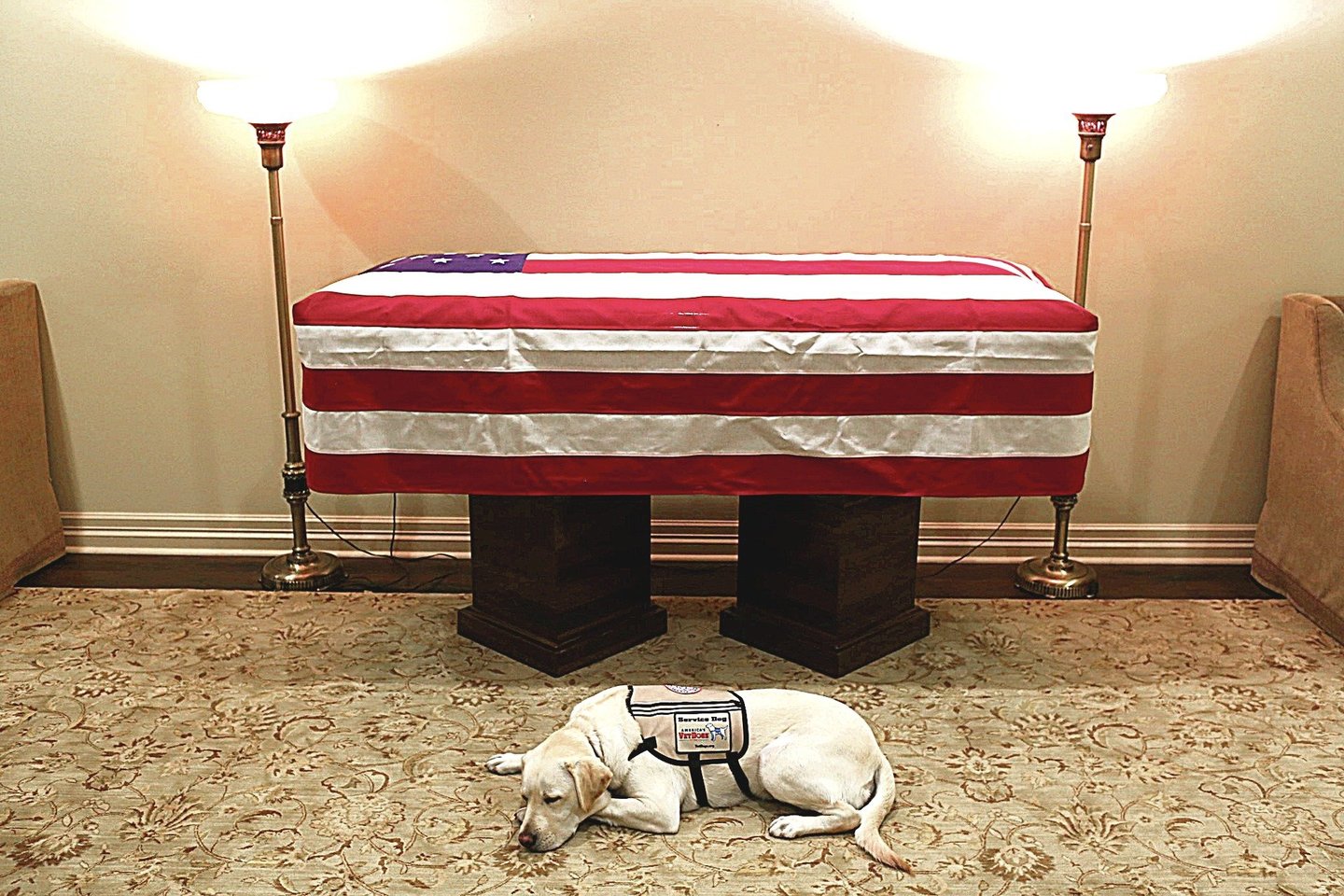 G.H.W.Busho tarnybinis šuo Sully budėjo prie jo karsto ir vyks į laidotuvių ceremoniją.