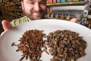 Atidarys Lietuvoje dar nebūtą fermą ir gamins ypatingus miltus