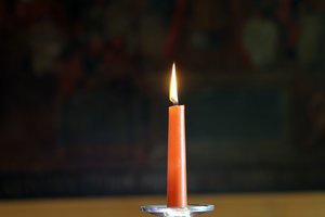 Tragiška nelaimė Panevėžio r.: krisdama medžio šaka mirtinai sužalojo jauną vyrą