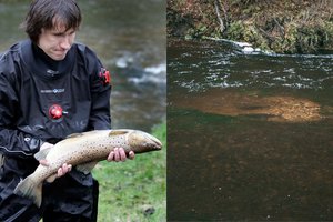 Pasiūlymas Lietuvai: sostinės centre – lobis, iš kurio uždirbtų milijonus