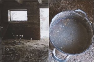 Vaizdas Širvintose sukrėtė: šarpėjaus mišrūnės kailis krito gabalais, šeimininkai kasdien ėjo pro ją