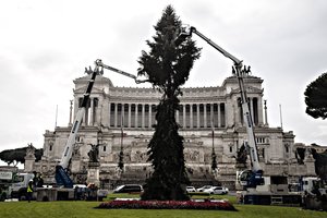 Istorija kartojasi – italai vėl nepatenkinti aptriušusia Romos Kalėdų egle