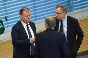 Ekonomisto verdiktas: biudžetas yra gana prastas