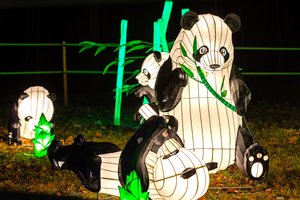 Festivalis „Didieji Kinijos žibintai“ – rekomendacijos vykstantiems